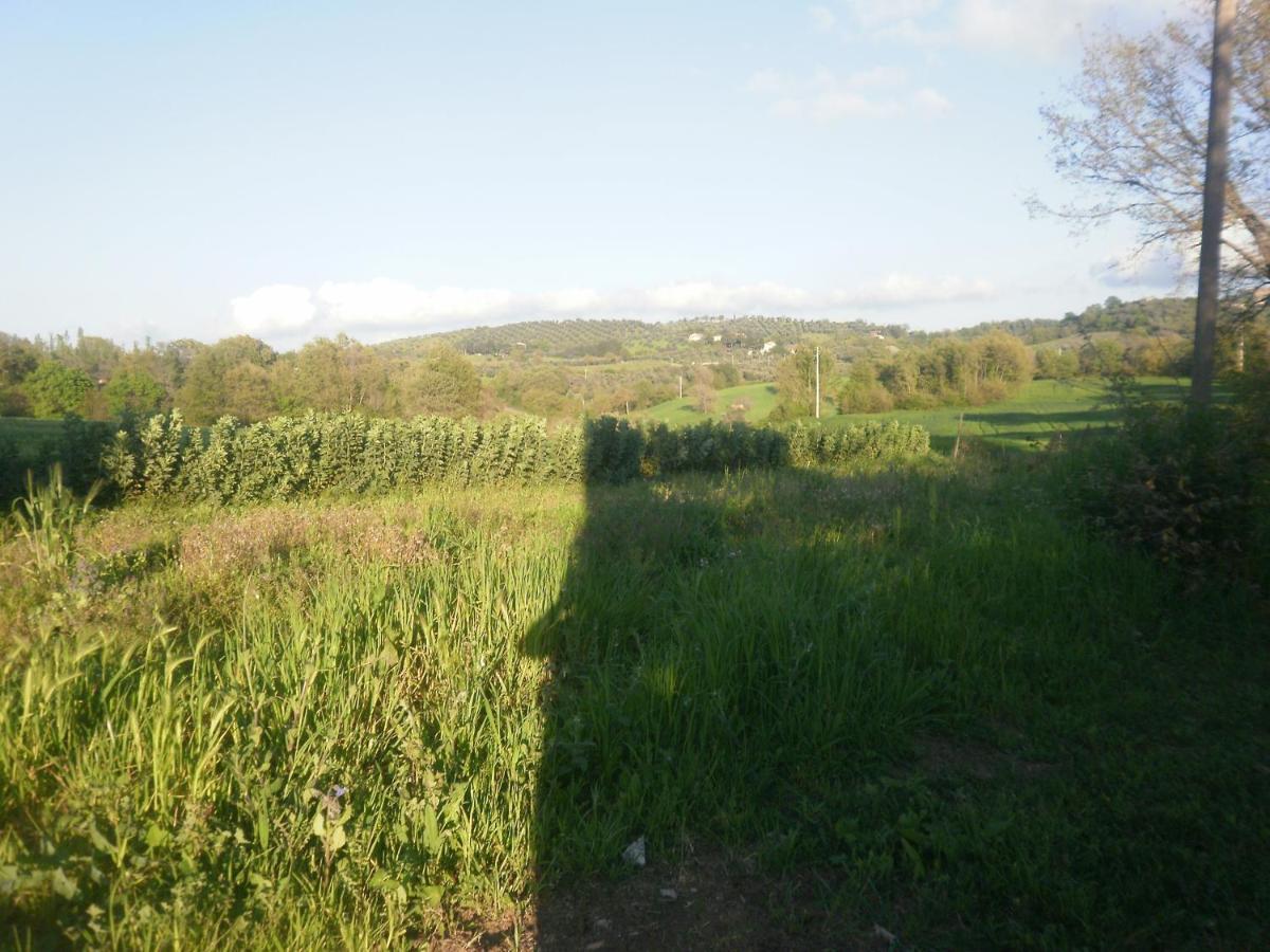 La Vecchia Quercia Farm stay *