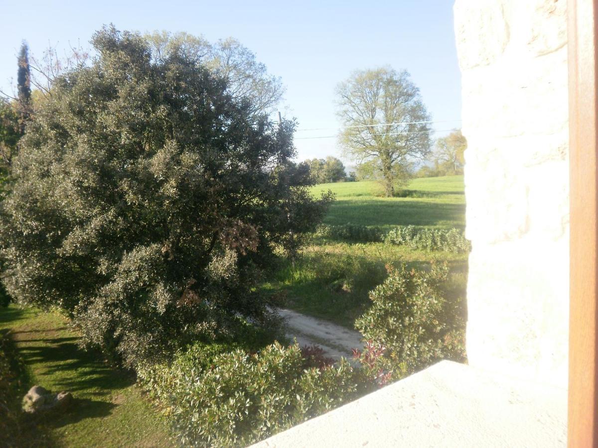 La Vecchia Quercia Alloggio per agriturismo *