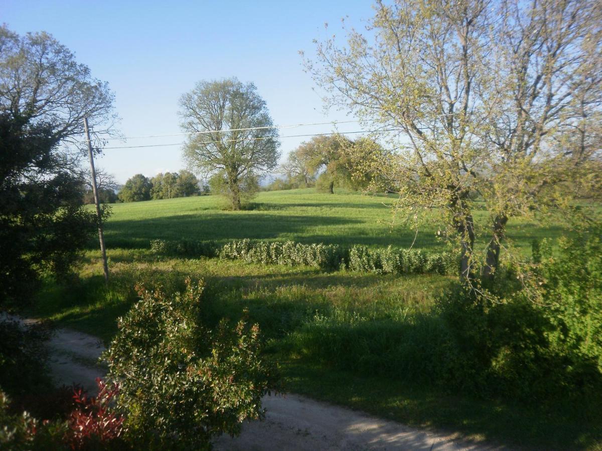 La Vecchia Quercia Farm stay *