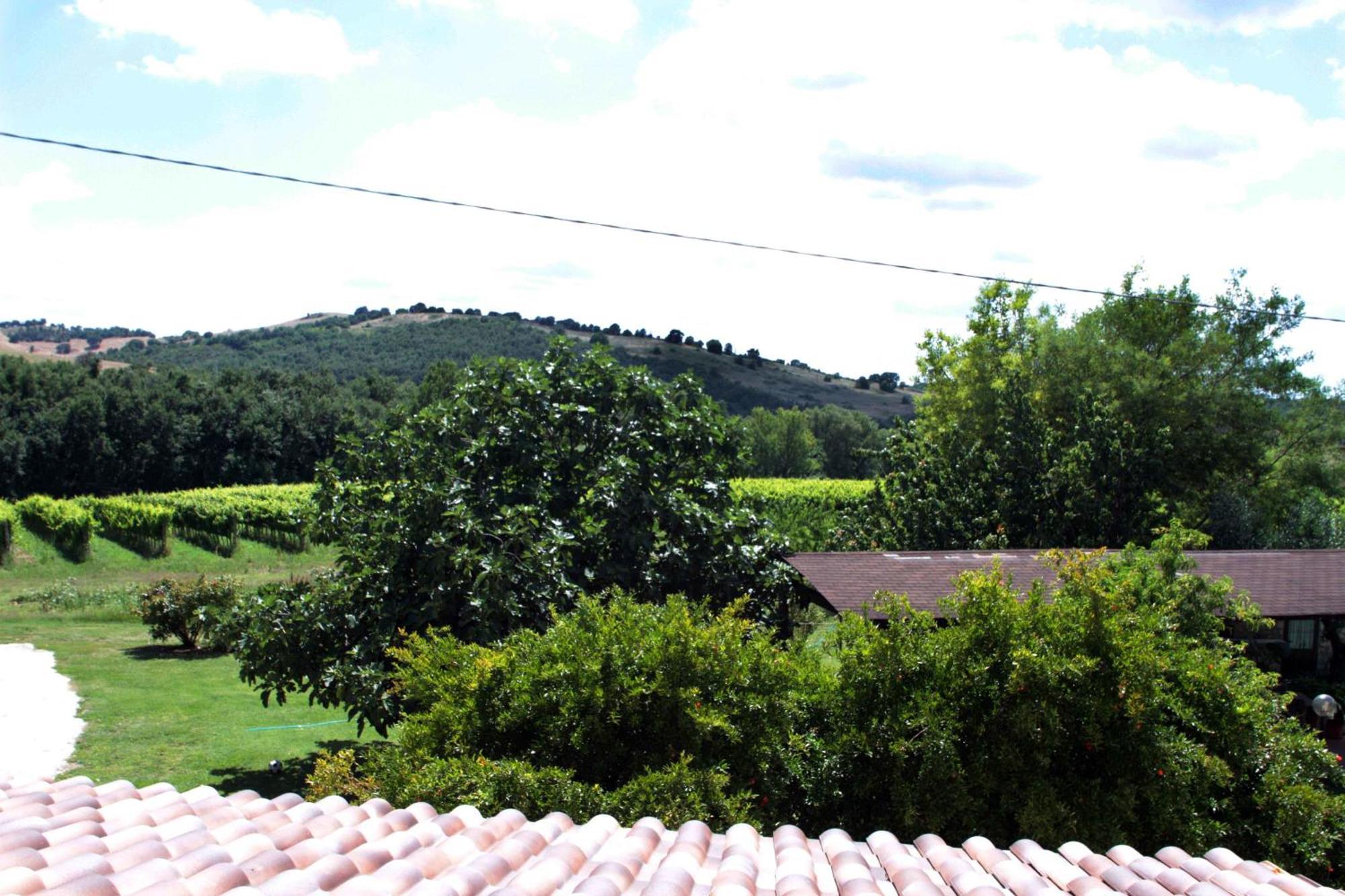 La Vecchia Quercia * Montemerano