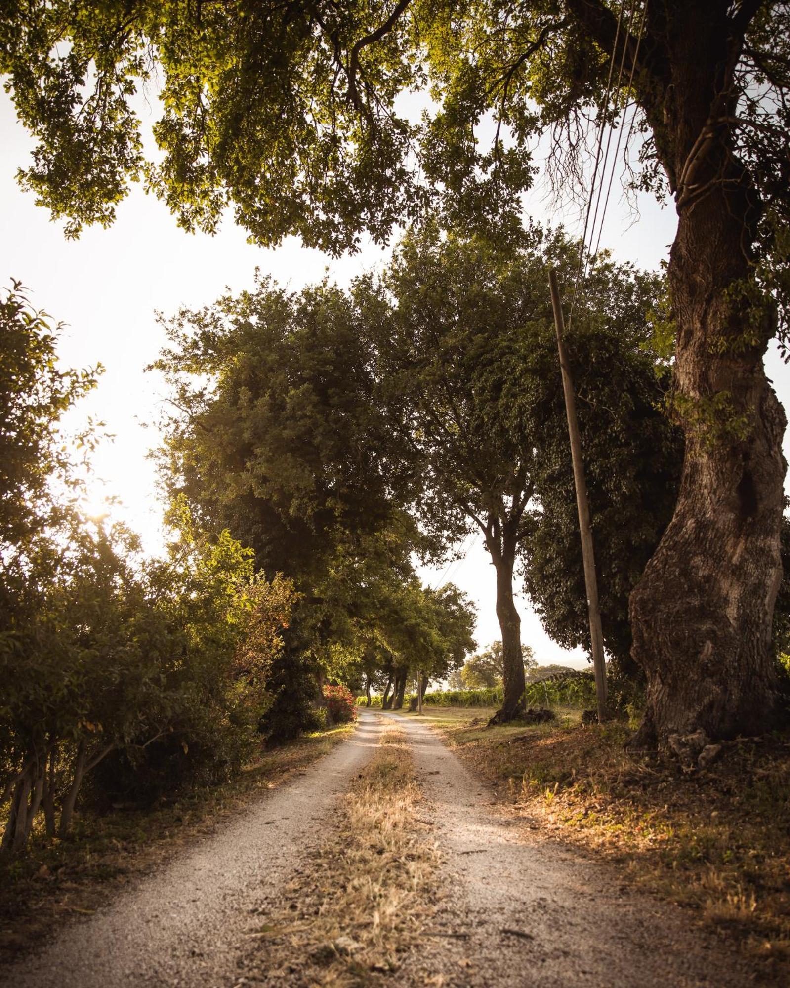 Farm stay La Vecchia Quercia