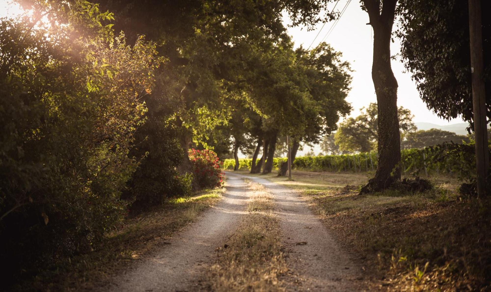 La Vecchia Quercia Farm stay *