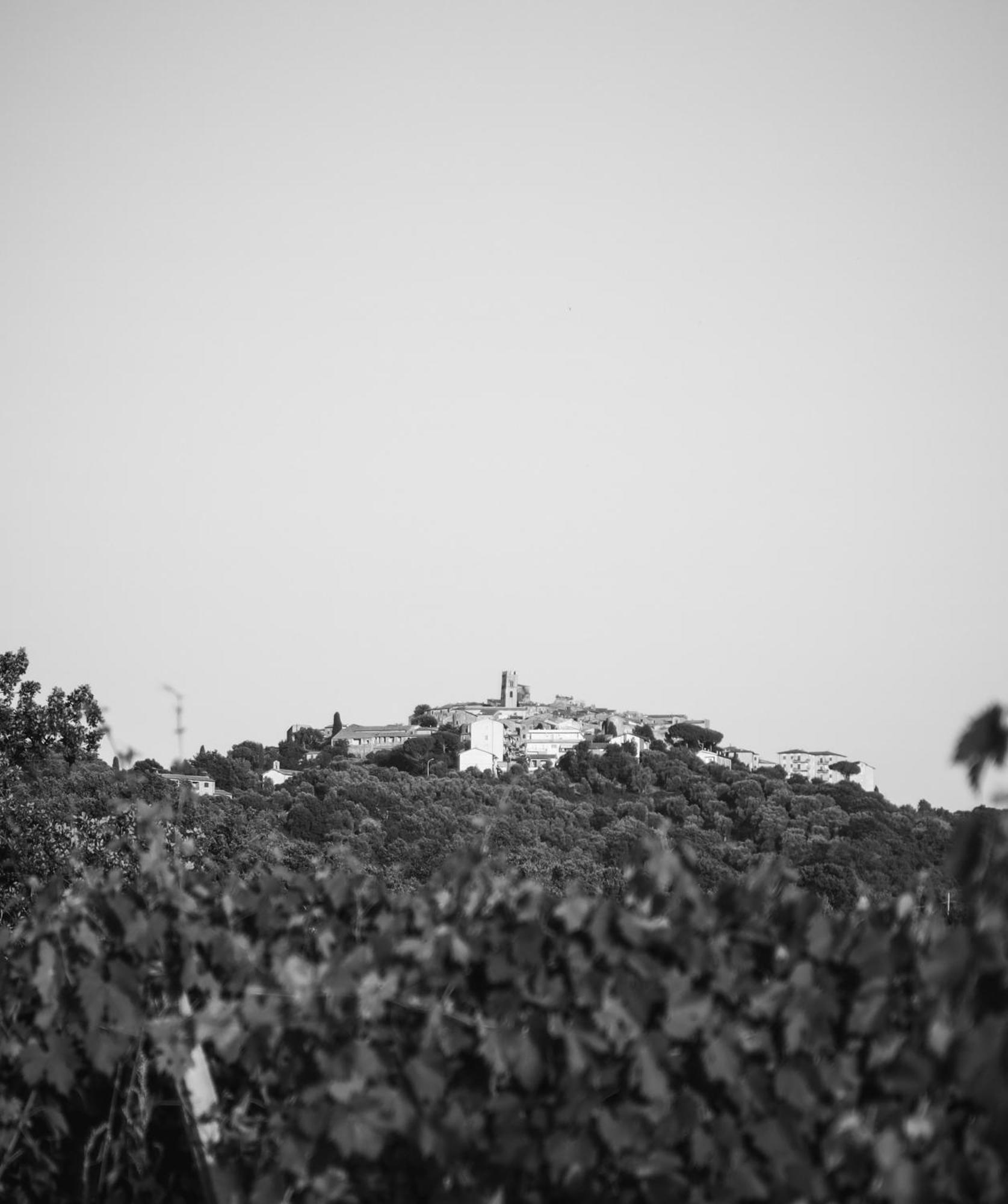La Vecchia Quercia Farm stay Montemerano
