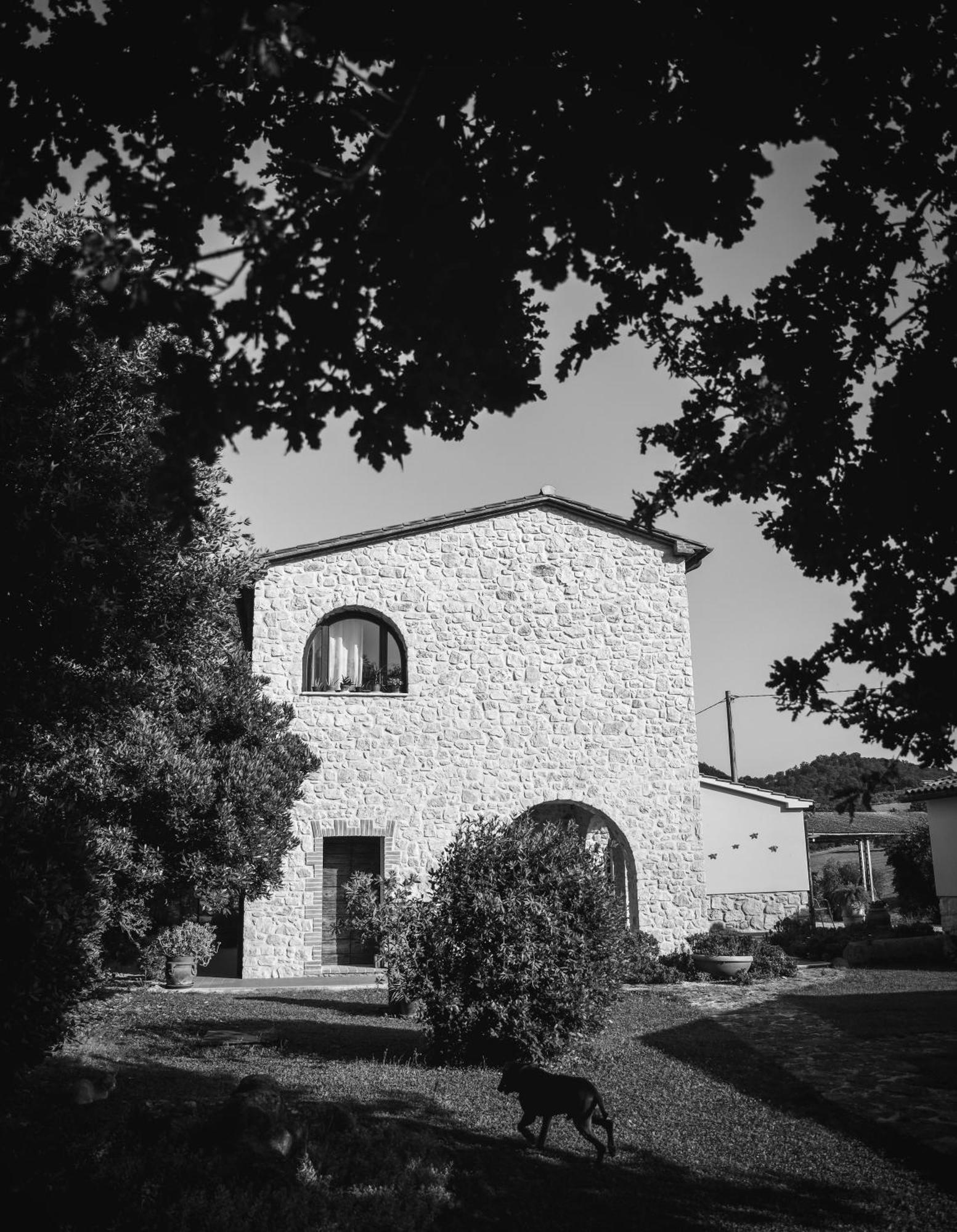 La Vecchia Quercia Farm stay *